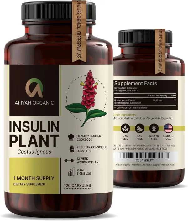 81pYx86QxEL._AC_SL1500_